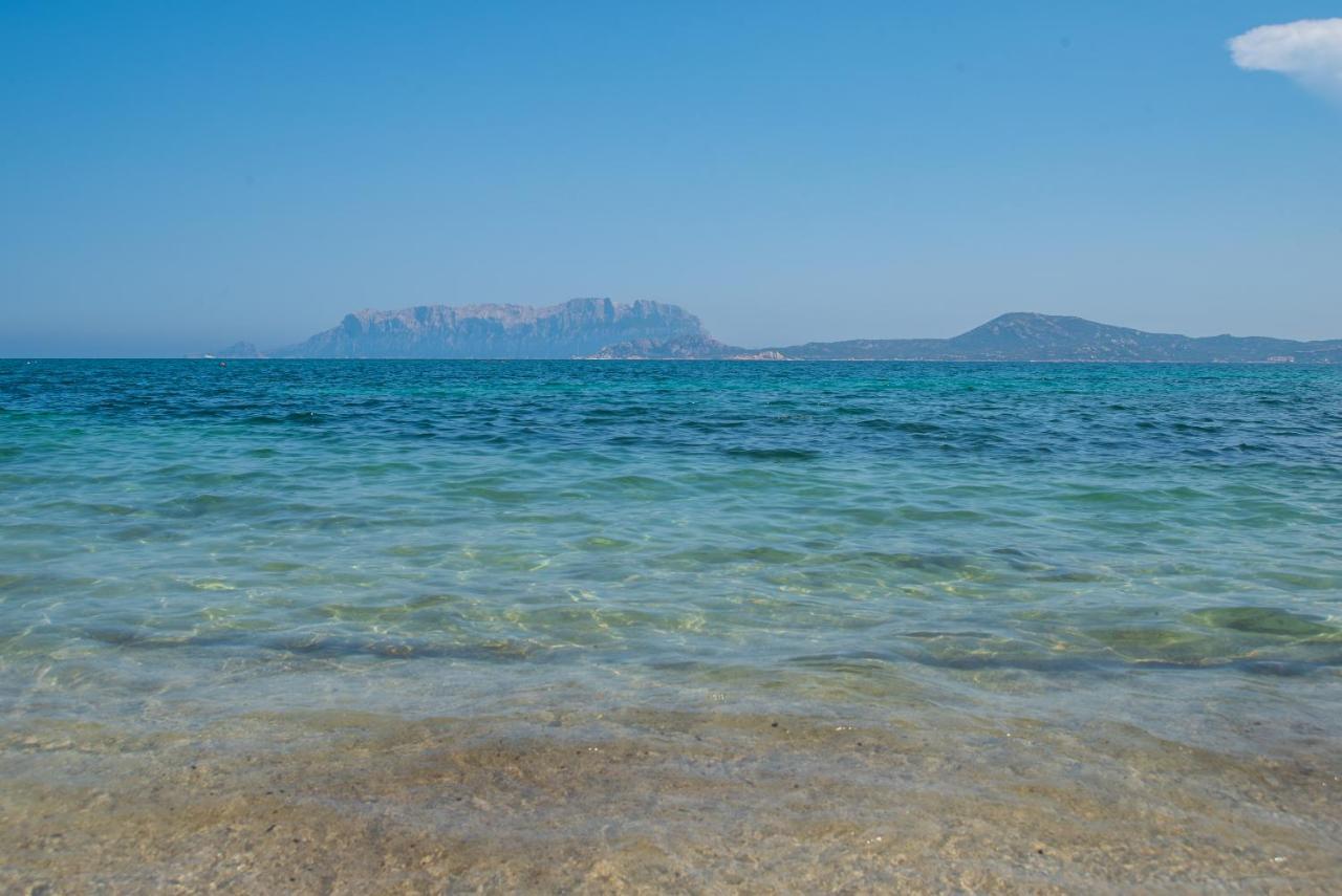 Del Cormorano Hébergement de vacances Olbia